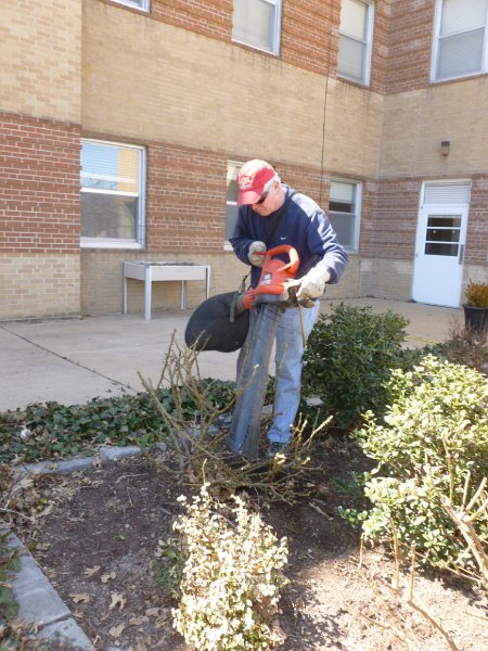 VA Garden March 2104 023